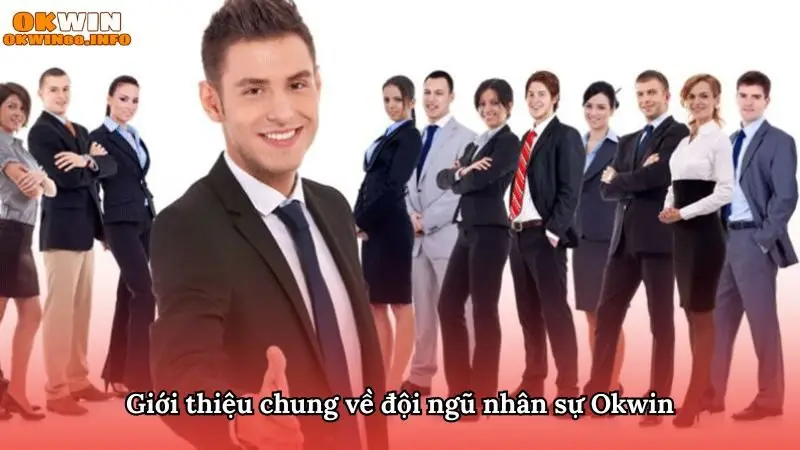 Tổng quan về đội ngũ nhân sự Okwin