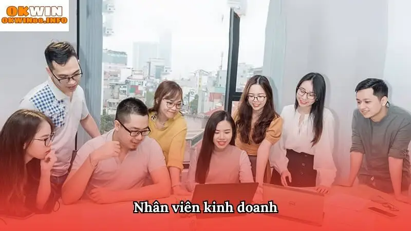Job tại Okwin vị trí nhân viên kinh doanh