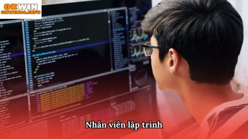 Job tại Okwin vị trí lập trình viên